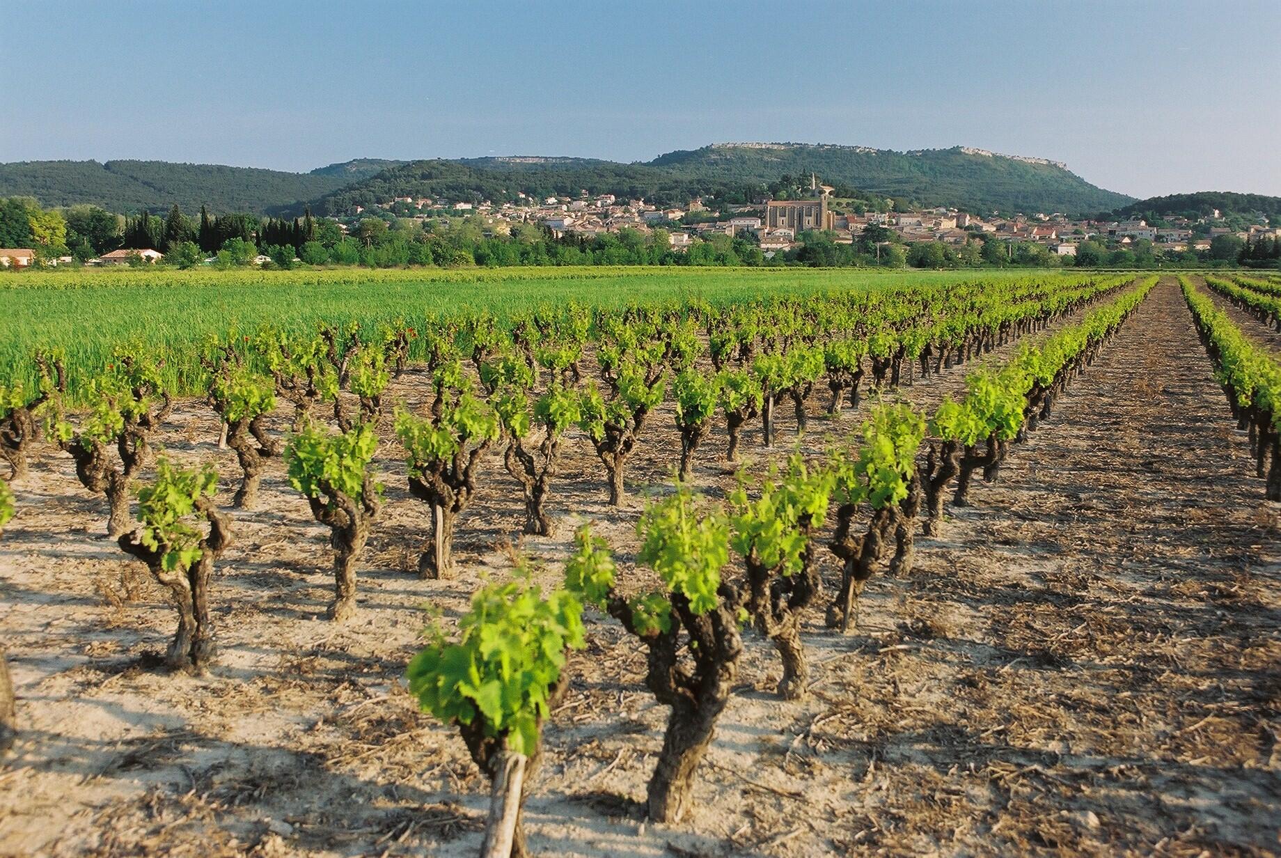 Laudun devient sa propre AOC